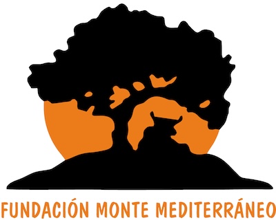 Logo FMM